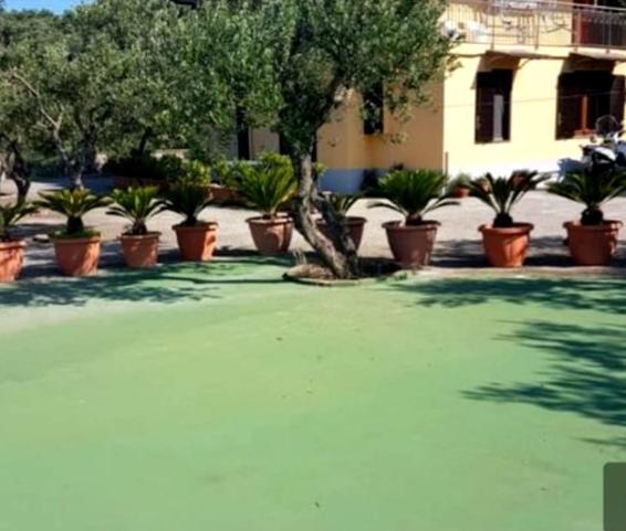 Ferienwohnung Casale I Tre Diamanti Massa Lubrense Exterior foto